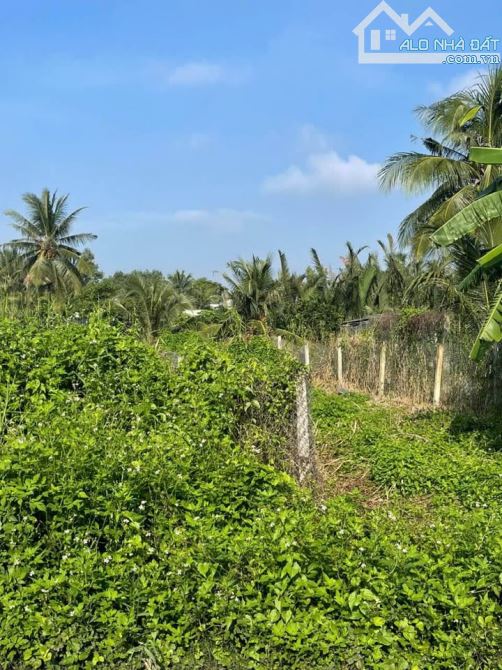 GẤP GẤP CẦN BÁN NHANH ĐẤT THỔ VƯỜN NGAY THỊ XÃ TRẢNG BÀNG