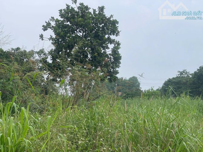 D276  HẠ 2ty CÒN 9ty5 GIÁ CŨ 11ty5 💥 BÁN 1300M2 ĐẤT FULL THỔ CƯ 3 MẶT TIỀN ĐƯỜNG 20 XÃ HƯ