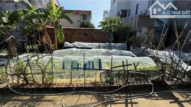 Bến Trung – Bắc Hồng, ô tô vào tận đất, 15m ra ô tô tránh!