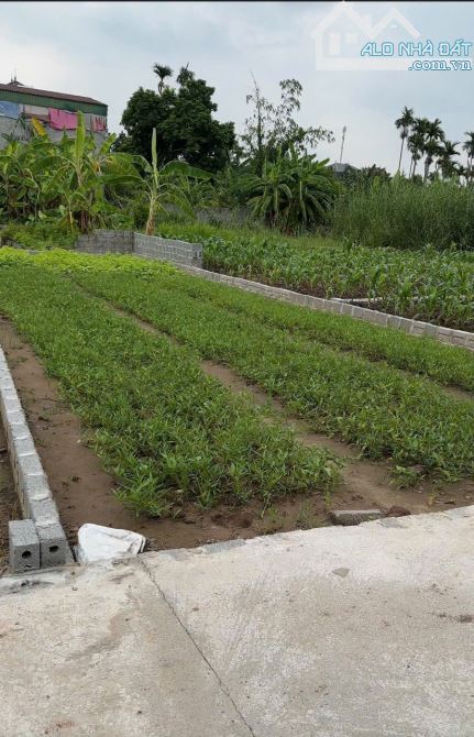 ☝️☝️DUY NHẤT LÔ F0 – GIÁ RẺ NHẤT KHU nhỉnh 20TR/1m2