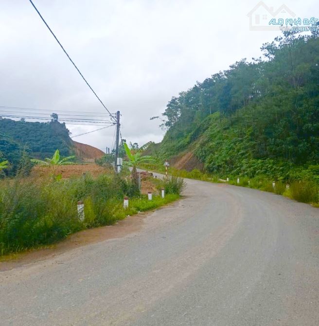 🔥🔥CỰC NGON🔥Bán đất vườn cà phê đường Blaosere Đại Lào Bảo Lộc