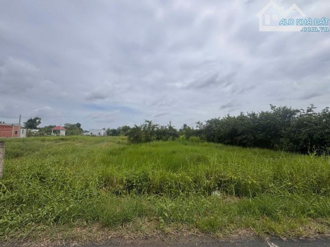 Mỹ Lộc 1000m đất lúa mặt tiền đường Rạch Bà Nhang giá 1tỷ7