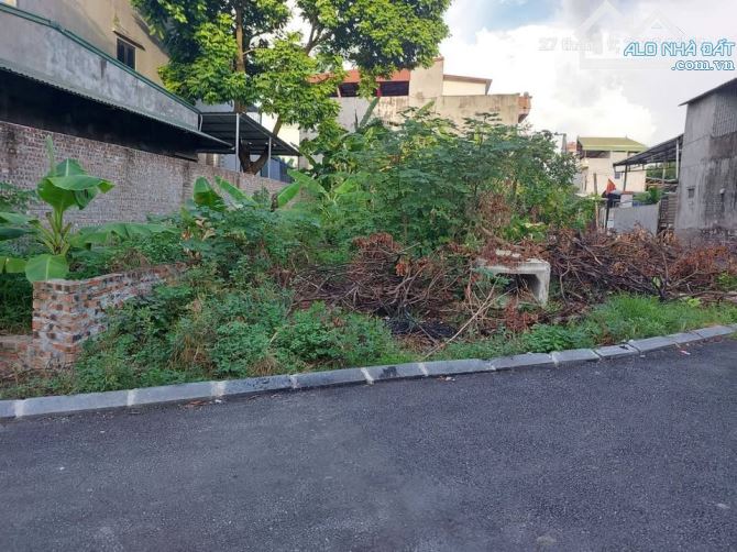Đất Nguyên Khê, 60m2, mt5m, 6 tỷ, Đông Anh, ô tô tránh, ngõ thông, gần phố.