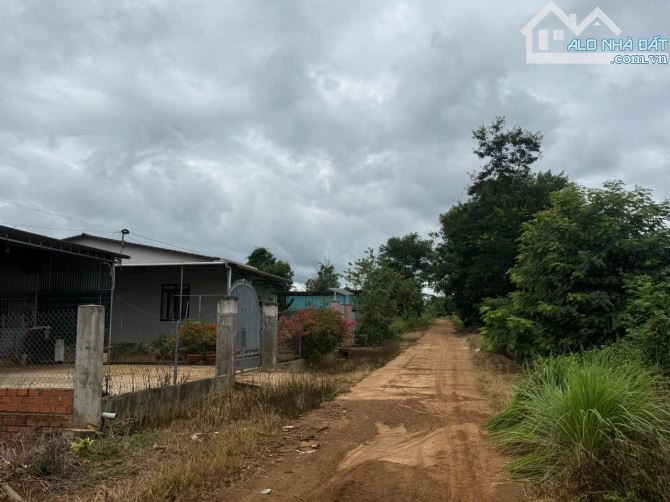 🥰 Bán 8 lô full thổ cư tại Dray Bhăng, Cưkuin, ĐakLak giá rẻ chỉ 219tr - 11