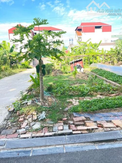 Bán đất lô góc 46.6m² Thôn Đoài - Nam Hồng - Đông Anh - Hà Nội (Nam Hồng – Phúc Thịnh) . G - 1
