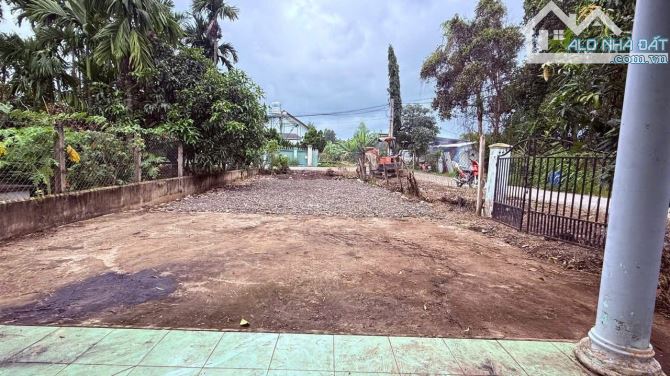 Đất bán đường nhựa xã Bình Mỹ cách Tỉnh Lộ 8 100m ngay Cầu Phú Cường 438m2 thổ cư 270m2 - 1