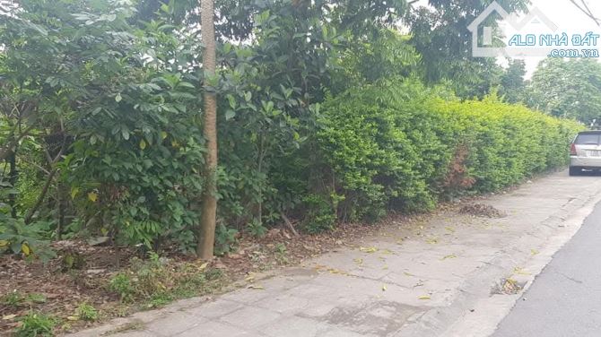 BÁN 2000M2 ĐẤT LÔ GÓC – CAM LỘ 3 – HÙNG VƯƠNG – HỒNG BÀNG – GIÁ CHỈ 14 TỶ - 1