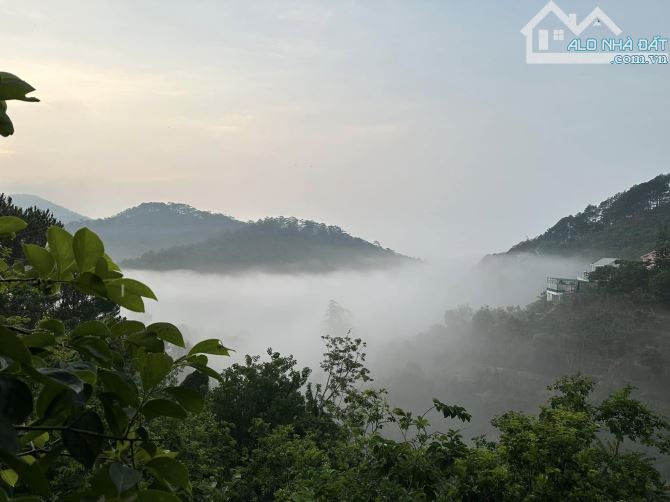 ĐẤT MẶT TIỀN HOÀNG HOA THÁM 540M2 NGANG 20M VIEW THUNG LŨNG RỪNG THÔNG - 1