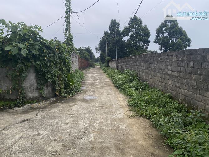 4800m đất nông trường tại liên sơn hoà bình giá rẻ chỉ hơn 1 triệu/m - 1