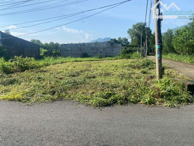 Bán lô góc  thổ cư 320m2(9,2x30m) Châu Pha,TP.Phú Mỹ - 1