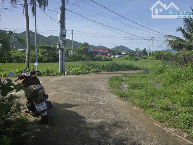 Lô Góc Diên Toàn Cạnh Võ Nguyên Giáp Giá Rẻ - 1