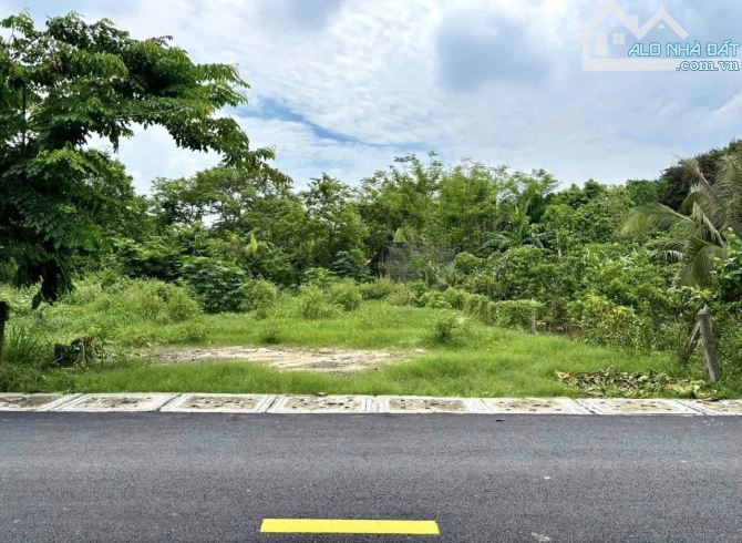 Cần bán gấp giá 740 TRIỆU đất MT TỈNH LỘ 2 120m2 KDC đông đúc (SHR) - 1