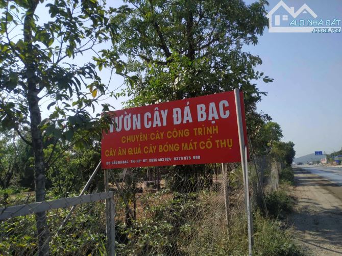 👌 Mặt Đường Ql10, Gia Minh, 100m2, Ngang 5m, Giá 1,7x tỷ (lô 34) 👌  - Vị trí thuận tiện - 1