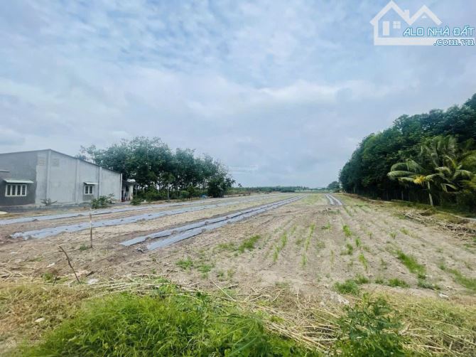 Chủ ngộp cần bán vườn 1332m2 ngang 20m nở hậu 26m TP.HCM - 1