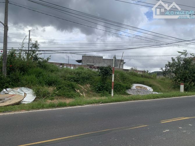 Bán Lô Đất Mặt Tiền Quốc Lộ 20 – Xuân Thọ, Tp. Đà Lạt – Vị Trí Đẹp, Tiềm Năng Kinh Doanh - 1
