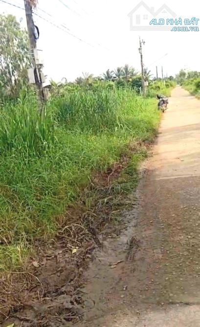 B.á.n 6,2 công đất nền, mặt tiền ôtô, gần biển Tân Thành -  Gò Công Đông, TG cũ - 1