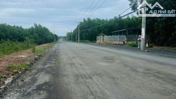 Mặt tiền Lộc An - Hồ Lồ Xã Đất Đỏ .BRVT ĐƯỜNG ĐANG MỞ RỘNG ĐI THẲNG RA BIỂN LỘC AN - 1