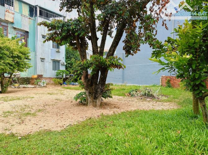 Bán lô đất đường 5m kiệt 152 Lê Văn Thứ Son Tra cách biển chỉ 100m - 1