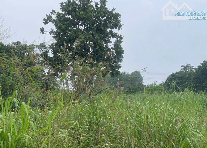 D276  🆘 HẠ 2ty CÒN 9ty5 GIÁ CŨ 11ty5 💥 BÁN 1300M2 ĐẤT FULL THỔ CƯ 3 MẶT TIỀN ĐƯỜNG 20 XÃ - 1