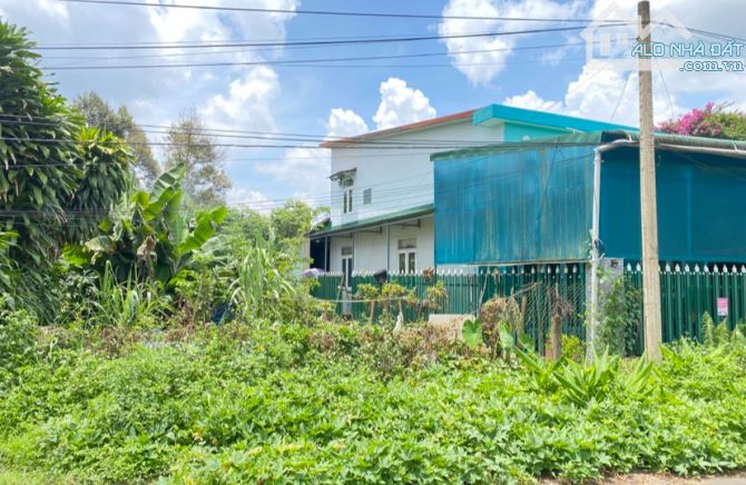 ✅RẺ ĐẸP! Bán đất mặt tiền Triệu Quang Phục, phường Blao Bảo Lộc. GẦN ĐƯỜNG 1/5 - 1
