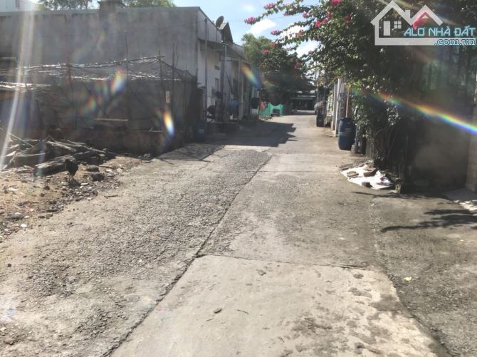 Đất 538m² Phước Thiền – Thổ cư 250m², ngang hơn 15m, nở hậu, giá tốt đầu tư - 1