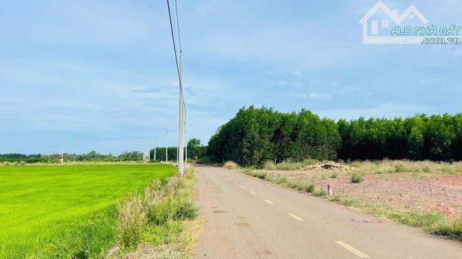 BÁN ĐẤT PHƯỚC LONG THỌ ĐẤT ĐỎ BÀ RỊA VŨNG TÀU - 1