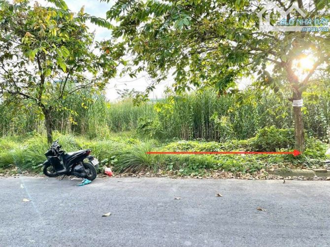 🏡 BÁN NỀN ĐƯỜNG B34 KDC 91B TP CẦN THƠ - 1