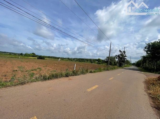 Bán 1000m2 81m tc đường nhựa hông KCN Đất Đỏ. BRVT 16 x 65m giá chỉ hơn 2 tỷ - 1