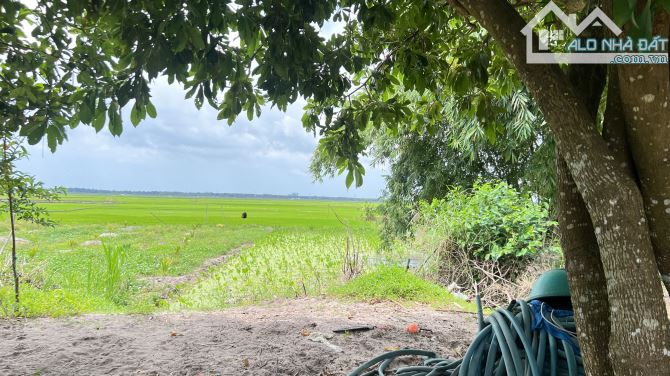 Đất Hồ Tràm , cách biển 6km chỉ 2.3 tỷ - 1