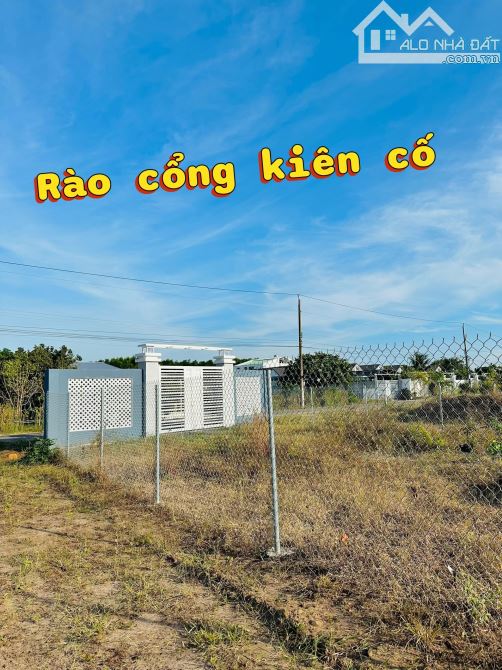 Bán 600M2 ĐƯỜNG NGUYỄN HUỆ - ĐỐI DIỆN KHU NHÀ VƯỜN HIỆN HỮU PLT XÃ ĐẤT ĐỎ.BRVT - 1