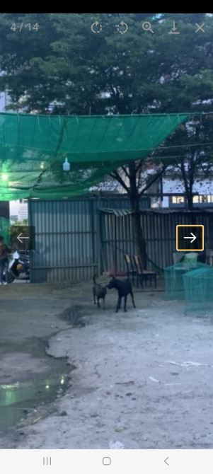 QUẬN 7 HUỲNH TẤN PHÁT – ĐẤT HIẾM 1350M2 - NGANG THÊNH THANG 27M – GIÁ CHÀO 72 TỶ. - 1