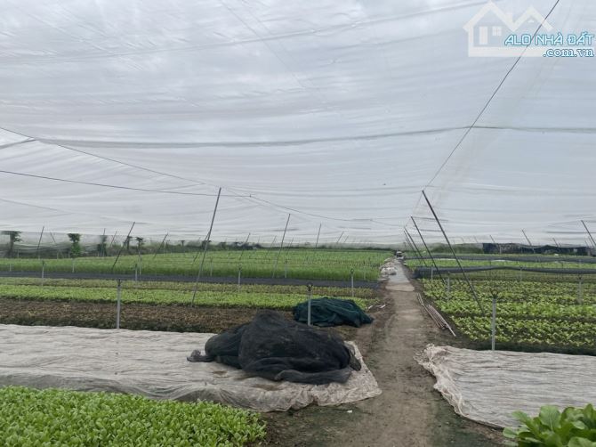 Củ Chi: Bán Gấp 2666m² Đất  Ful Thổ Cư Đường Hồ Văn Tắng, SHR, Giá Tốt 54 Tỷ. - 1