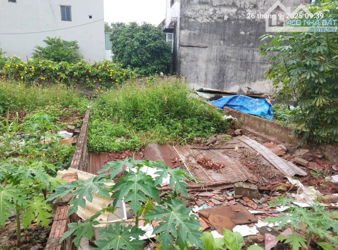 Bán đất Bắc Hổng, Đông Anh, 49m2, mt4.4m, ô tô 4 chỗ, gần phố, tiện ích, 3.65 tỷ. - 1