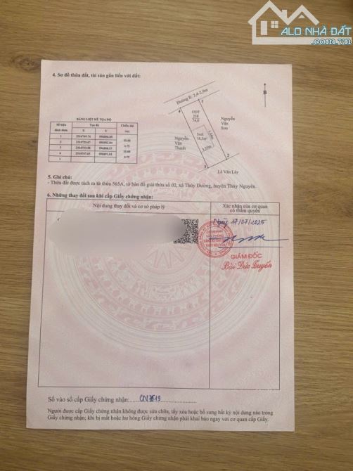 Chính chủ gửi bán lô đất 74m tại Thủy Đường.Thủy Nguyên.ngay trung tâm.đường thông.giá chỉ - 1