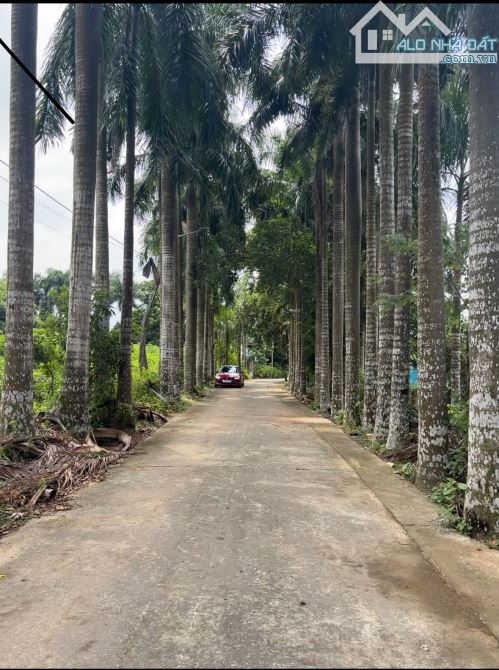 Bán lô đất đẹp tại Đồng Trạng , Cổ Đông , Sơn Tây Hn - 1