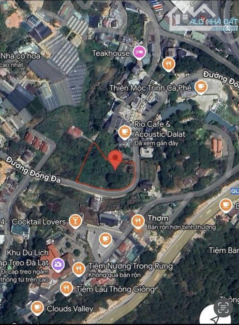 Chủ cần bán gấp lô đất VÀNG VIEW ĐỈNH TUYỆT ĐẸP nhìn thành phố mặt tiền đồi Đống Đa Đà Lạt - 1