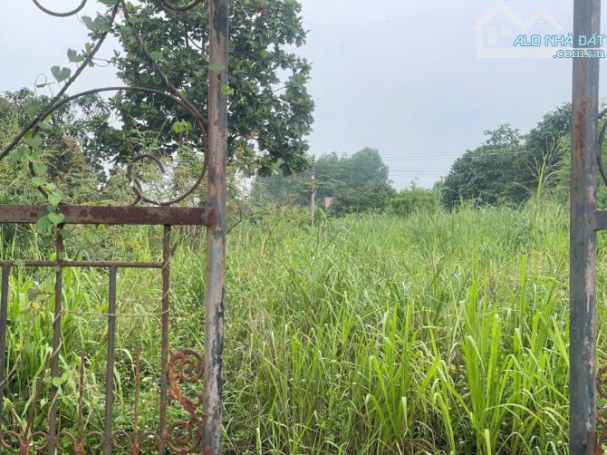 D276  HẠ 2ty CÒN 9ty5 GIÁ CŨ 11ty5 💥 BÁN 1300M2 ĐẤT FULL THỔ CƯ 3 MẶT TIỀN ĐƯỜNG 20 XÃ HƯ - 1