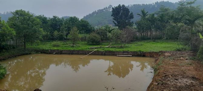 Bán lô đất hơn 1000m2, trong đất có ao, phía sau view cách đồng tại Yên Bình, giá hơn 5 tỷ - 1