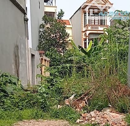 BÁn nhanh 50m đất Cửu Việt Trâu Quỳ Gia Lâm/MT 5m/lô góc/2 thoáng/oto thông/7 tỷ - 1