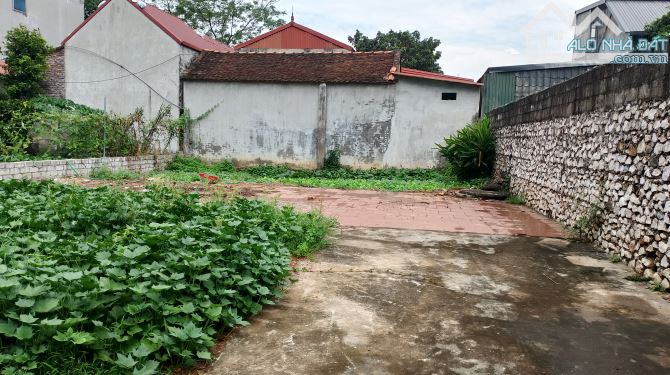 Chị gái gửi bán DT 196m tại thôn Văn Phú Xã Hoàng Văn Thụ Chương Mỹ Hà Nội - 1