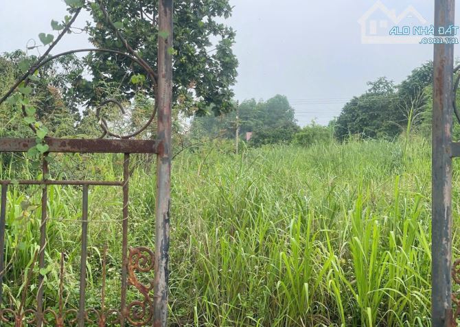 D276  🆘 HẠ 2ty CÒN 9ty5 GIÁ CŨ 11ty5 💥 BÁN 1300M2 ĐẤT FULL THỔ CƯ 3 MẶT TIỀN ĐƯỜNG 20 XÃ - 1