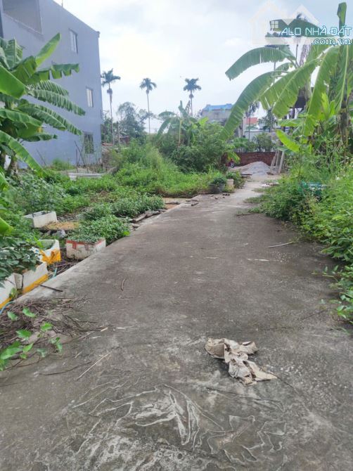 Bán lô đất đẹp tại Hoà Nghĩa, Dương Kinh. ngõ oto đỗ cửa giá chỉ 7xx triệu - 1