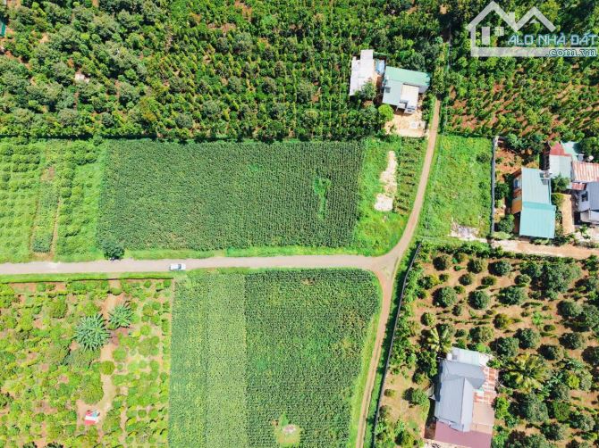 LÔ ĐẤT P.TÂN AN ĐƯỜNG D5 BUÔN KOTAM EATU QL26, 5mx34m (nở hậu 5,4m) - 1