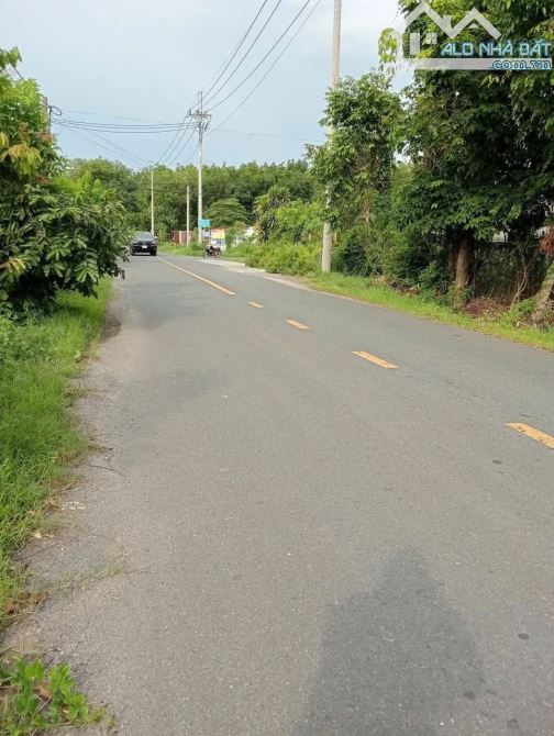 Bán đất thổ cư mặt tiền Bùi Thị Điệt xã Nhuận Đức Củ Chi TPHCM, DT: 1000m2. - 1