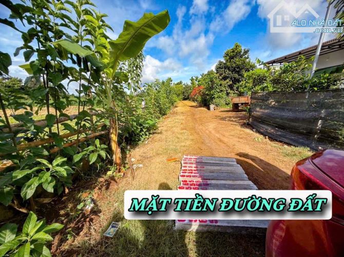 🥰 Bán 8 lô full thổ cư tại Dray Bhăng, Cưkuin, ĐakLak giá rẻ chỉ 219tr - 2