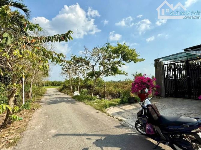 Gia đình tôi đâng cần bán miếng đất 250m2 tại xã PHƯỚC HIỆP ,CỦ CHI,TPHCM.GIÁ 1TY - 2