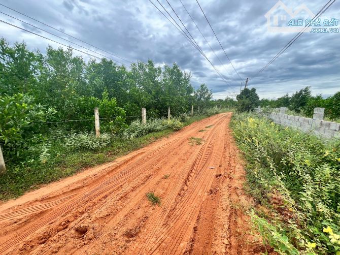 Bán đất Thiện Nghiệp gần Sân bay Phan Thiết - 2