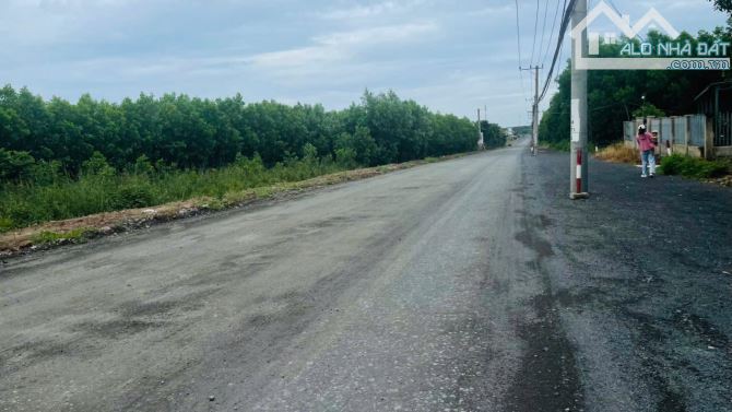 Mặt tiền Lộc An - Hồ Lồ Xã Đất Đỏ .BRVT ĐƯỜNG ĐANG MỞ RỘNG ĐI THẲNG RA BIỂN LỘC AN - 2