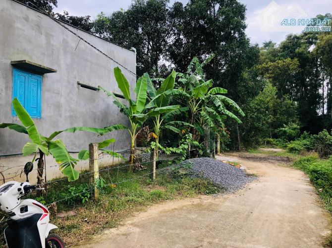 Đất Xào Thổ Cư dt: 20x45m (1075m2) Ngay QL55 Tân Hà Hàm Tân Gía siêu rẻ: 1 tỷ 100 triệu - 2