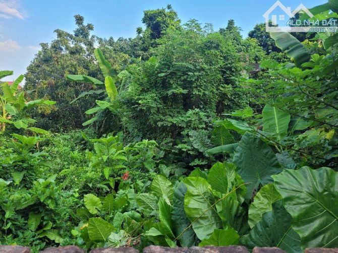 BÁN 43M² ĐẤT TẠI KIM SƠN – GIA LÂM, MT RỘNG- Ô TÔ TẢI VÀO NHÀ, GIÁ TỐT ĐẦU TƯ- DỄ RA HÀNG - 2